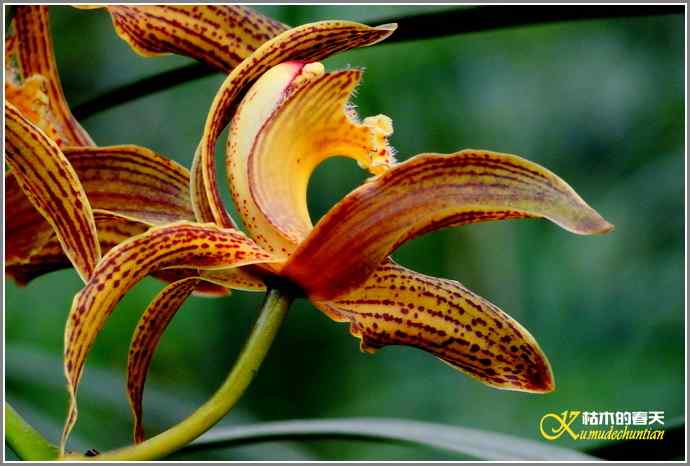 今天不拍鸟【照片】 今天不拍鸟【照片】