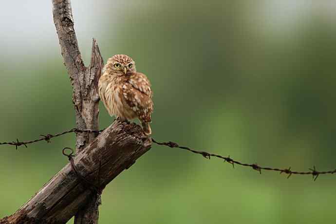 赏图鈥斺斕嵘诤奈幕