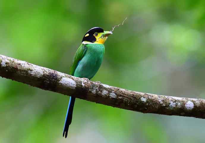 此情可待成追忆 wbr只是当时已惘然（我的阔嘴情缘）