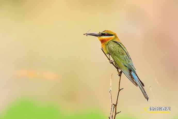 失而复得的鈥溊鹾矸浠⑩