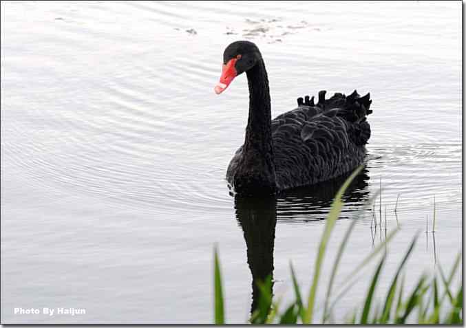  点击图片或使用键盘← →翻页