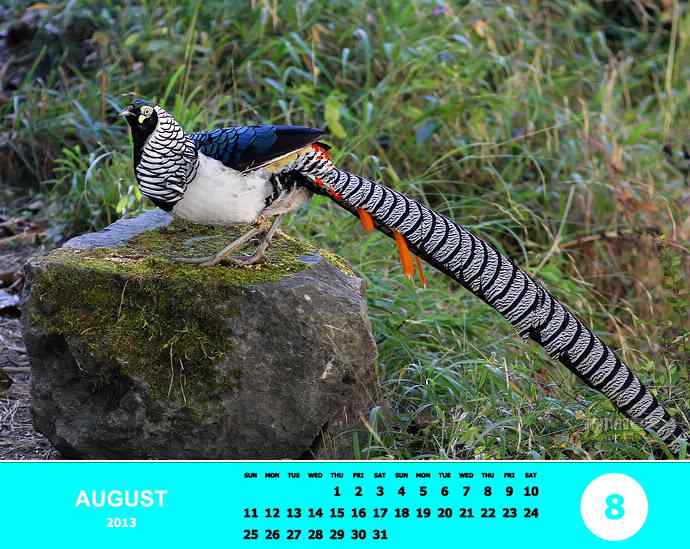 乘风追梦鈥斺斘业2012（附图）