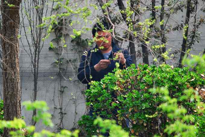 何时斩断刽子手？（组图）