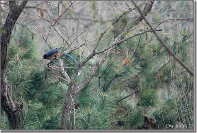 点击图片或使用键盘← →翻页