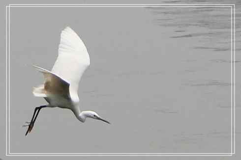 我的大生活之鈥溕隳衿濃1