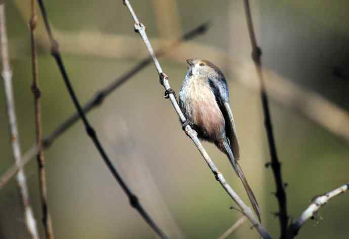 大年初二见到鈥溡恚ǔの玻┥饺糕潱锹及妫 大年初二见到鈥溡恚ǔの玻┥饺糕潱锹及妫