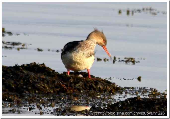 20111023-469_thumb10