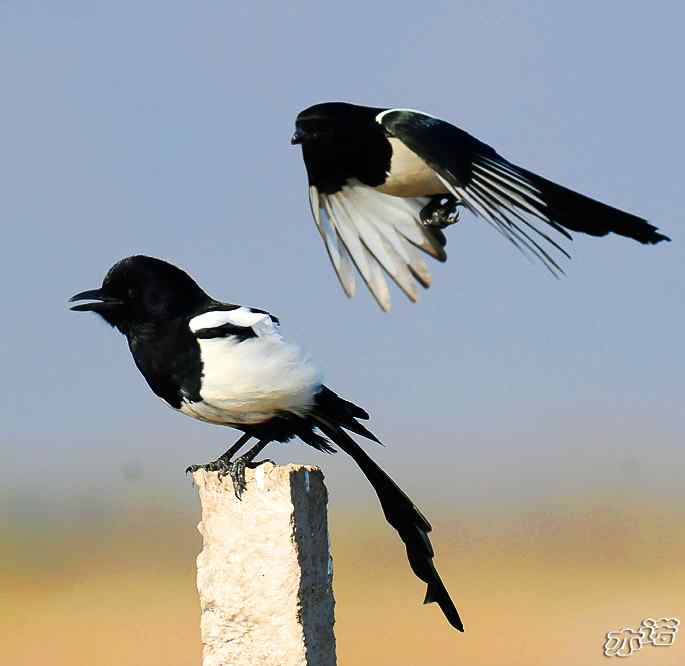 官厅水库&nbsp;wbr路&nbsp;wbr鈥湹刂麾澫踩