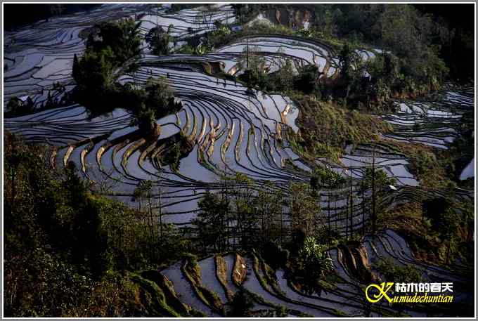 如梦的元阳梯田【照片】 如梦的元阳梯田【照片】