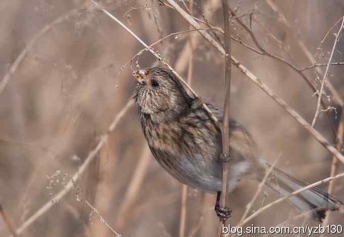 进步版鈥湷の踩糕潱ㄗ橥迹8张图片）