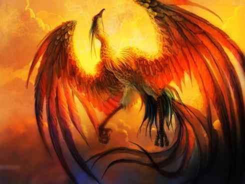凤凰：传说的鸟