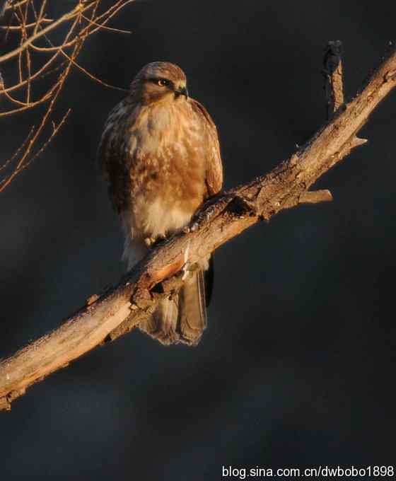 岁末再访白河峡谷