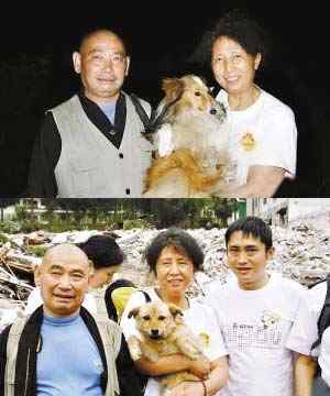 感动中国十大动物颁奖