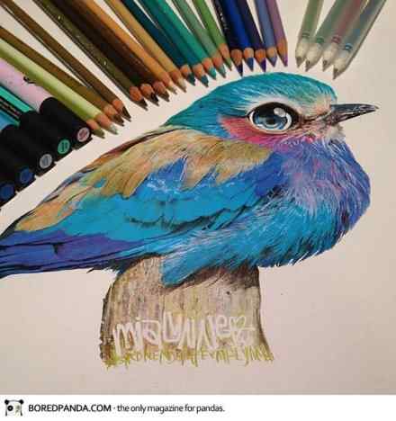 水溶彩铅动物绘画