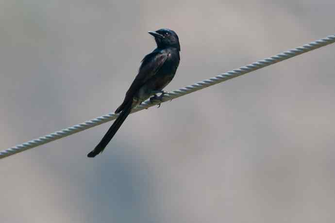 【综合】山间风景“线”