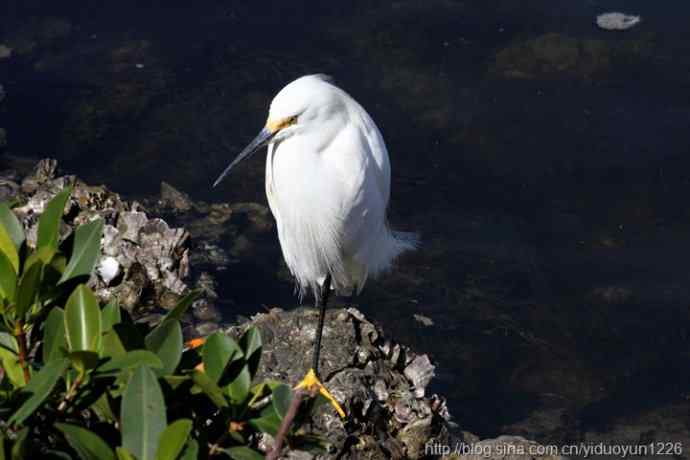 2012 Florida 173 2012 Florida 173