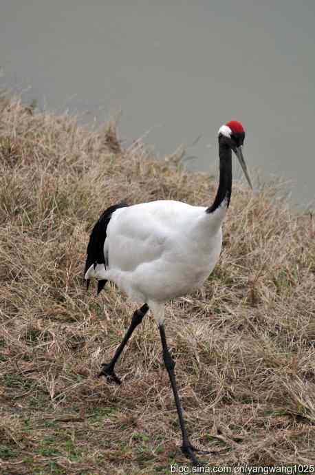 晚秋寻美 wbr wbr3