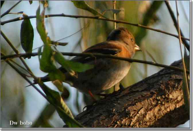 点击图片或使用键盘← →翻页