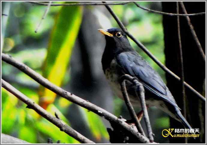 追拍鈥溩馗勾笙甥l鈥潯菊掌