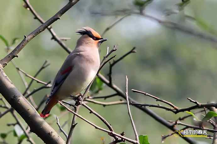 记录鈥溞√侥疋