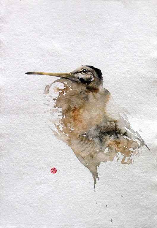 中国风的鸟类绘画图集