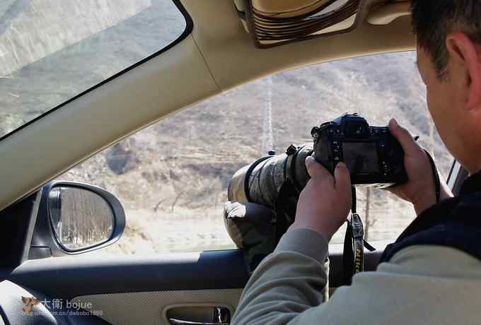 假日与家人一起愉快观鸟 假日与家人一起愉快观鸟