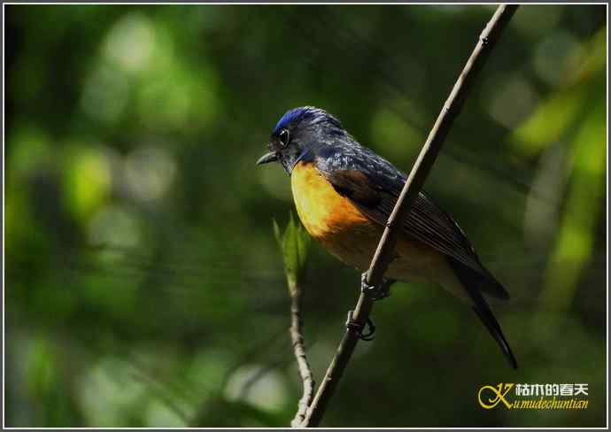 追拍鈥溩馗勾笙甥l鈥潯菊掌 追拍鈥溩馗勾笙甥l鈥潯菊掌