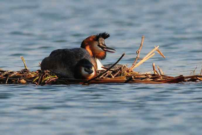 清明假日惬意的午后时光