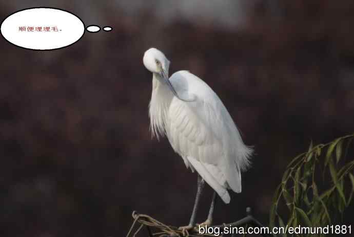 偷拍白衣俪人日光浴 望远镜摄影习作