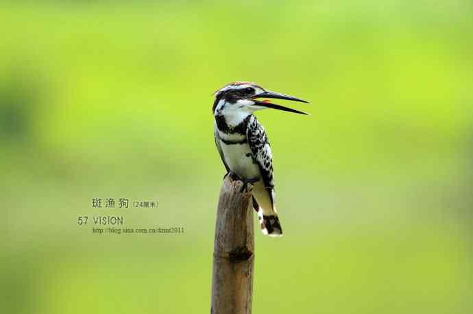 逆光下的鈥湽饭封濃斺敯哂婀