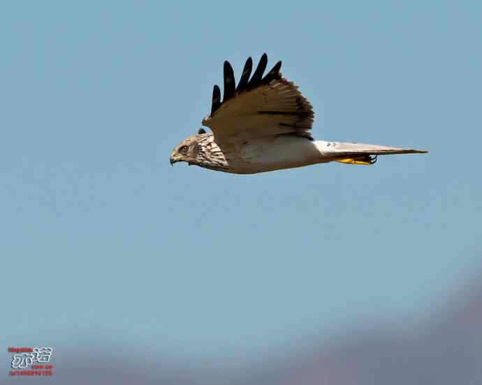 官厅水库 wbr路 wbr金秋十一猛 官厅水库 wbr路 wbr金秋十一猛