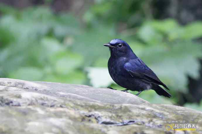 记录鈥湴孜怖兜仞垛