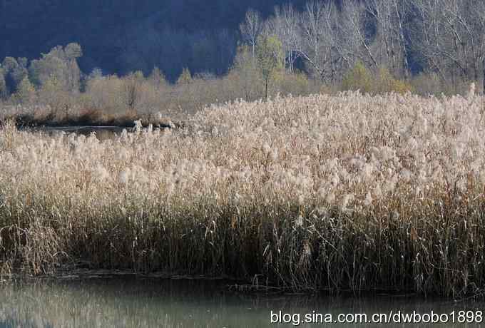 秋到白河湾 秋到白河湾