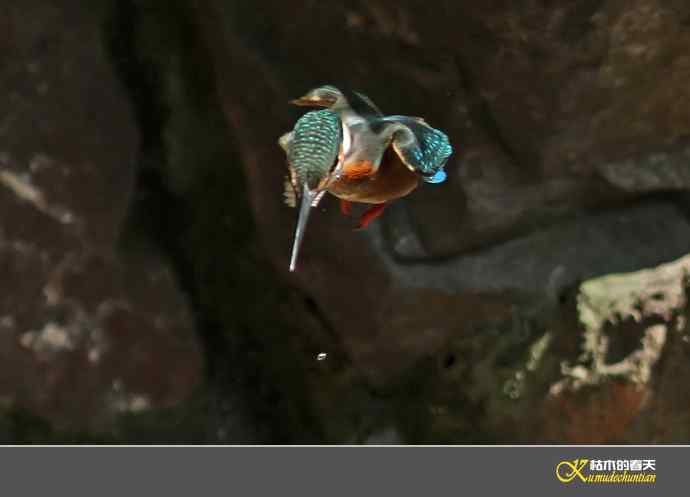 鈥溋宋泡衡澟拟溞〈溻潯臼蹬摹