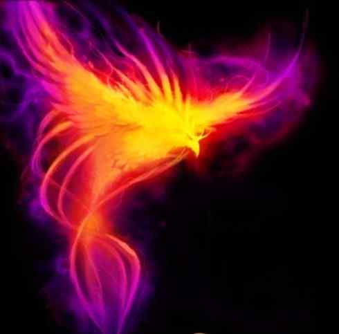 凤凰：传说的鸟