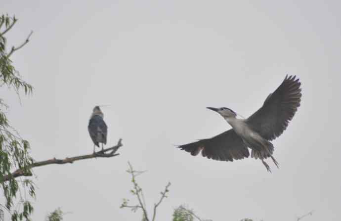 20100505当日总结