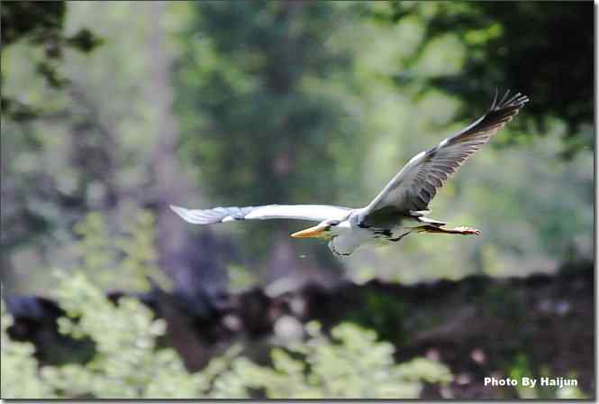  点击图片或使用键盘← →翻页