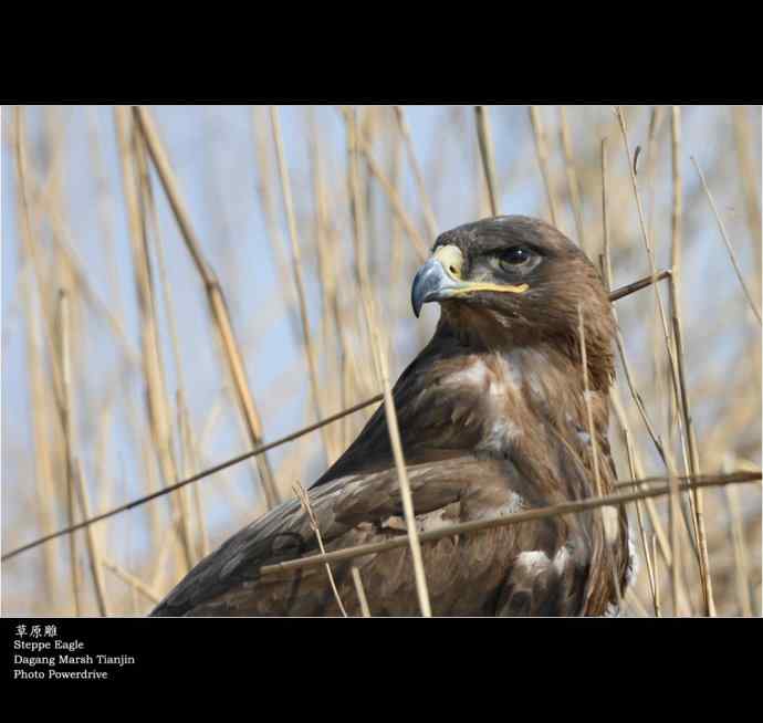 【人间四月天】