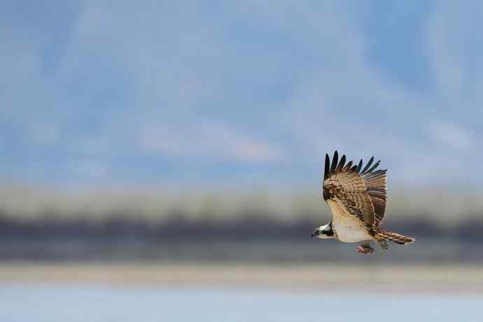 鹗鈥斺斈执阂把己（一）