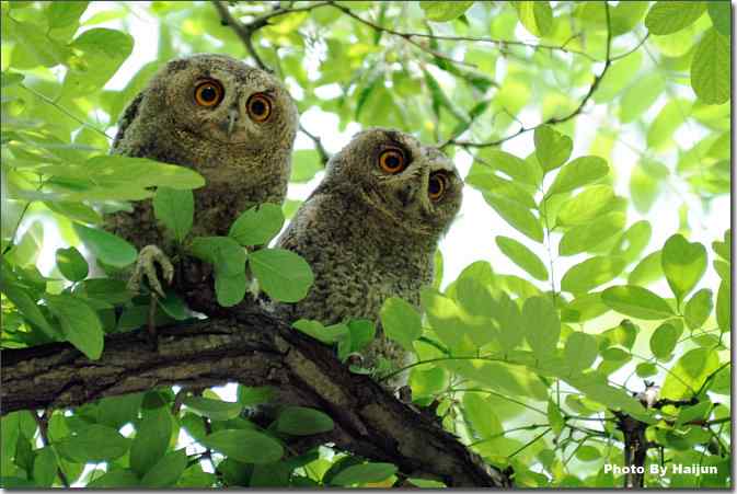  点击图片或使用键盘← →翻页