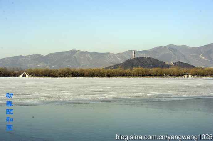 颐和园的收获（绿头鸭）
