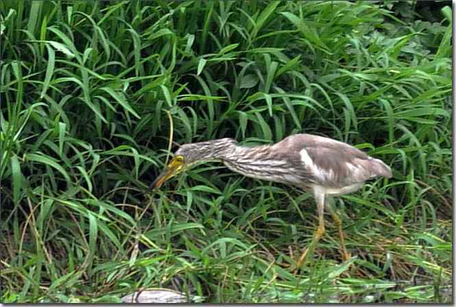  点击图片或使用键盘← →翻页