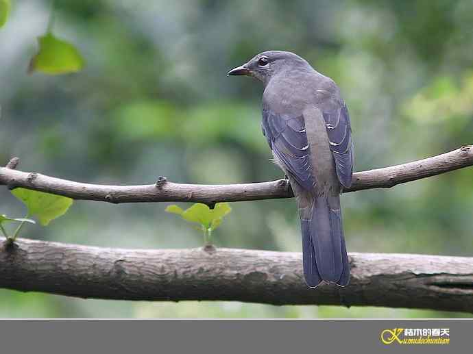 鈥湴祷揖轾V鈥澮蛔