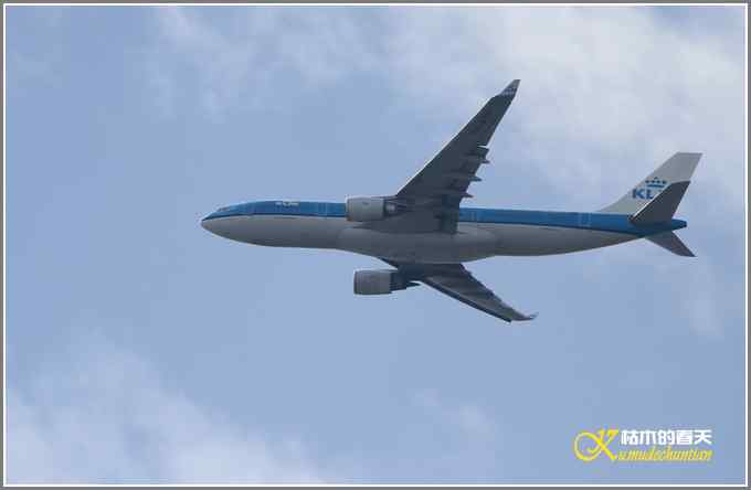 心想事不成【照片】