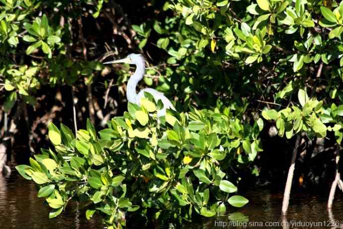 2012 Florida 123 2012 Florida 123