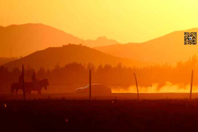 野鸭湖黄昏鸟影