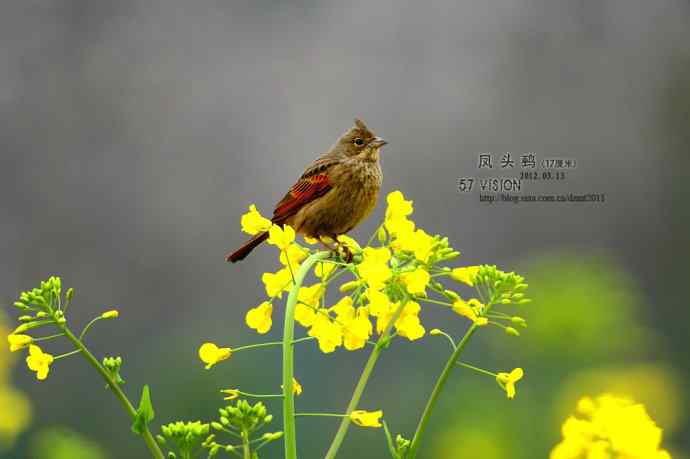 蓦然回首 蓦然回首