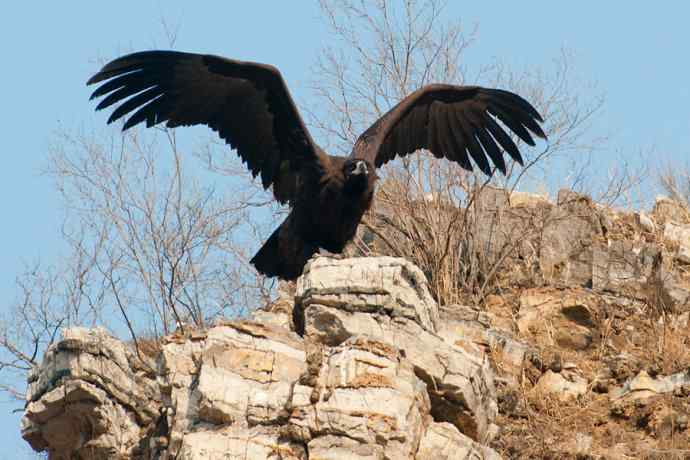 小鬼难缠 wbr鹰雄气短☆ 小鬼难缠 wbr鹰雄气短☆