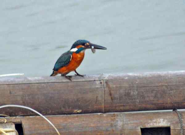 与小翠的亲密接触，珠海独行（三）（组图）