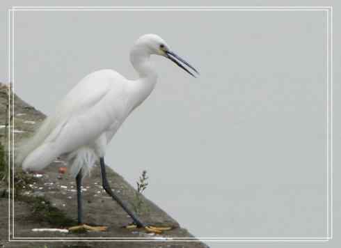 我的大生活之鈥溕隳衿濃1